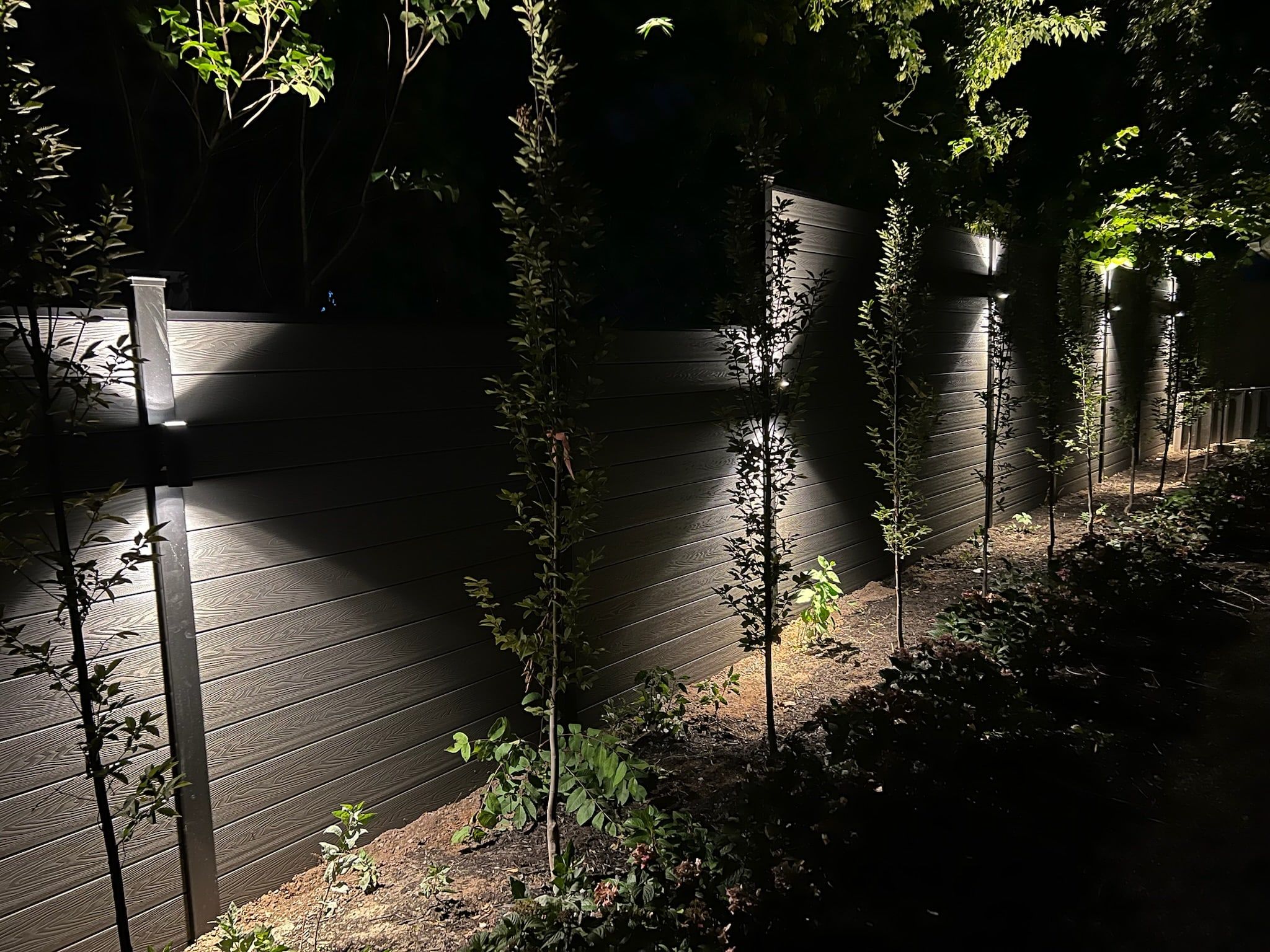 Fence lights washing a dark composite fence, with young trees in the bed.