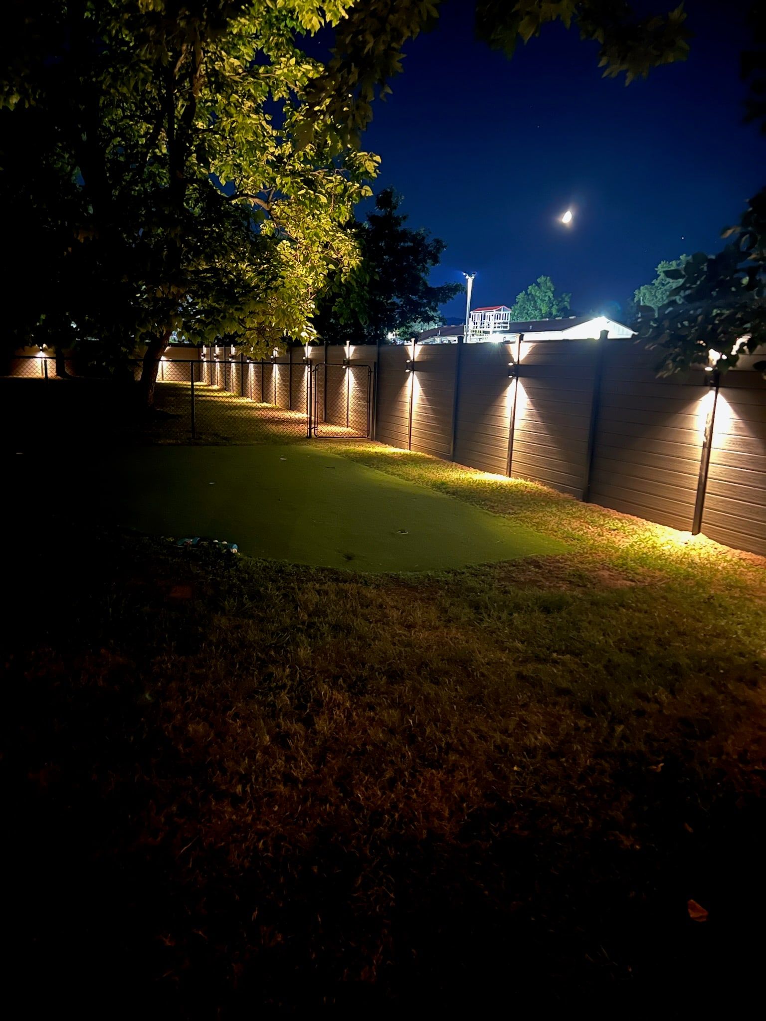 A long run of fence lights down the side of the yard.